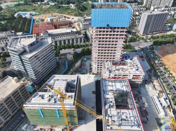 8ba2fde7f8168410512d735abfb80af