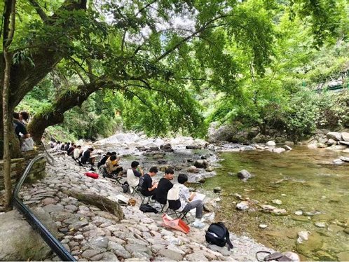 d4b754362d77aeed6337c304615a13f