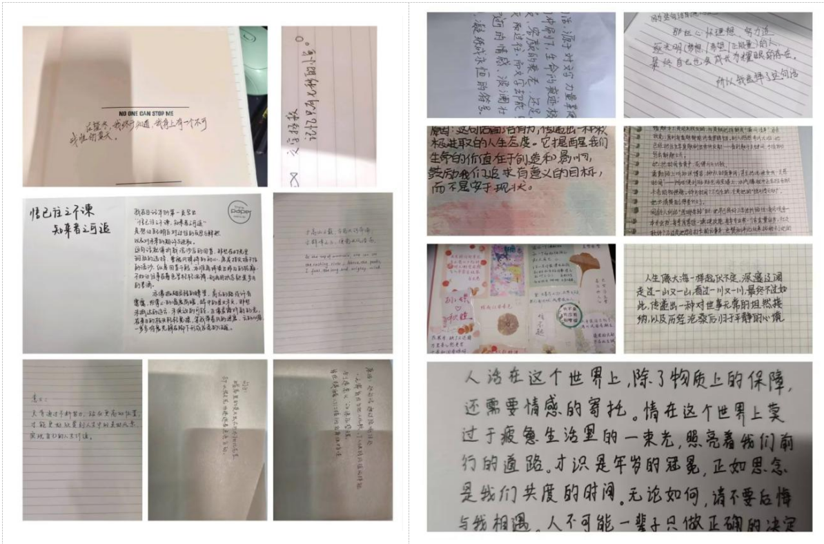 7b8dc5aeba2d1579752931b6ff92013.png 7b8dc5aeba2d1579752931b6ff92013.png