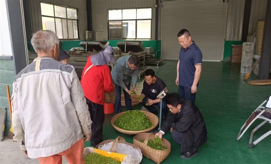 微信图片_20250507112629