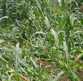 微信图片_20231024102648